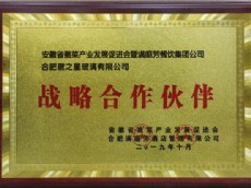 戰(zhàn)略合作伙伴